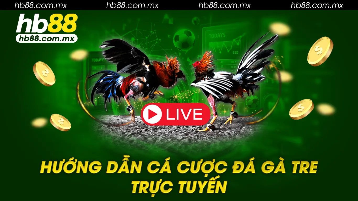 Hướng dẫn cá cược đá gà tre trực tuyến