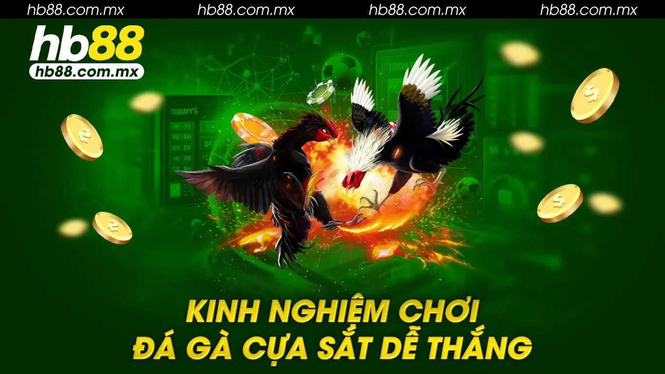 Đá gà cựa sắt 02