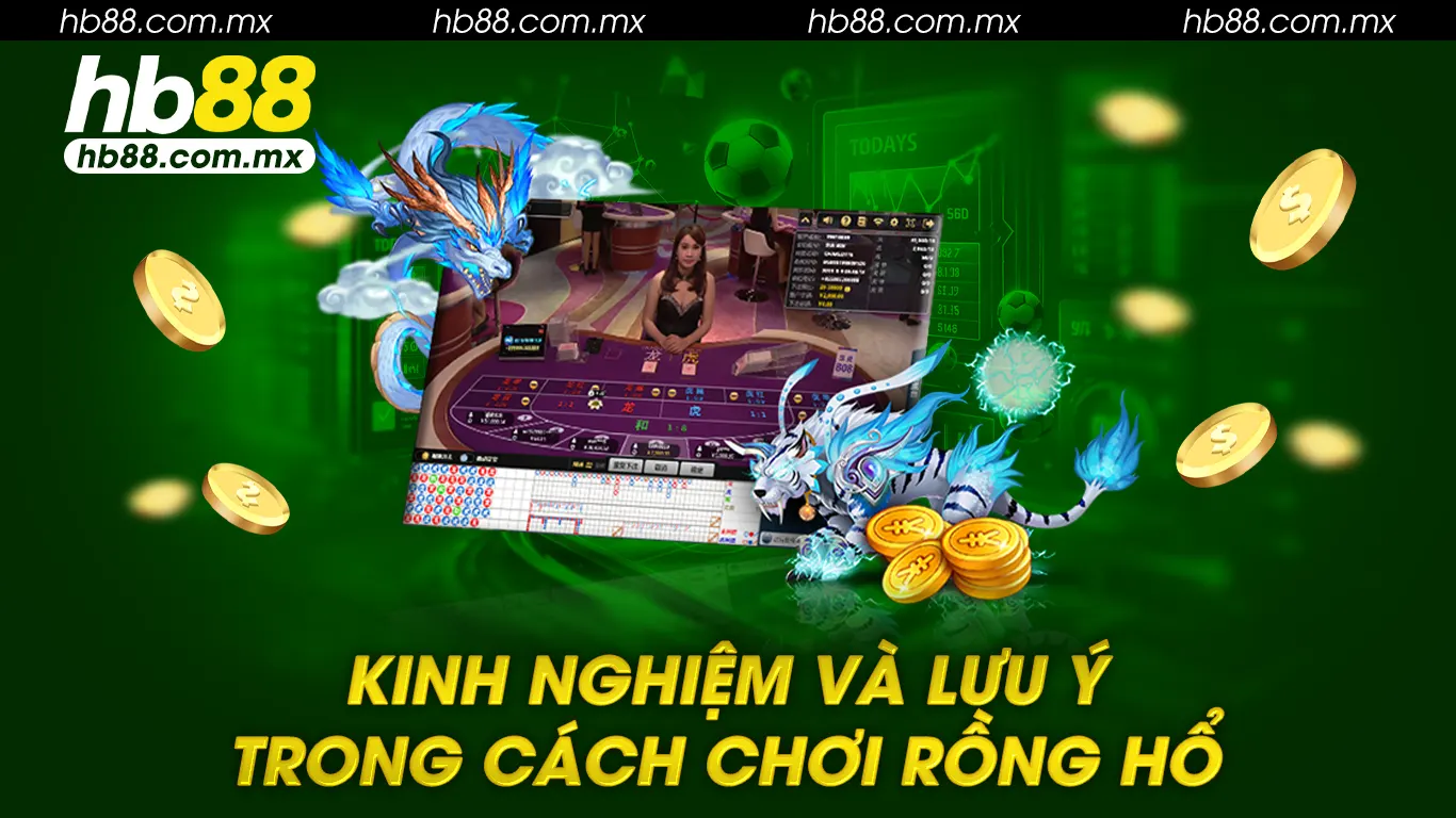 cách chơi rồng hổ 02